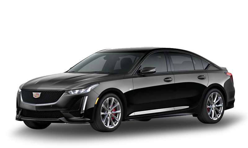 블랙 레이븐 익스테리어